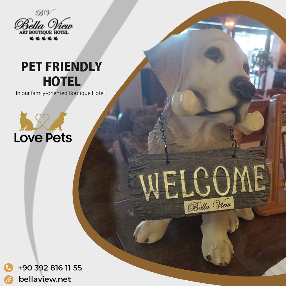 pet-friendly-hotel